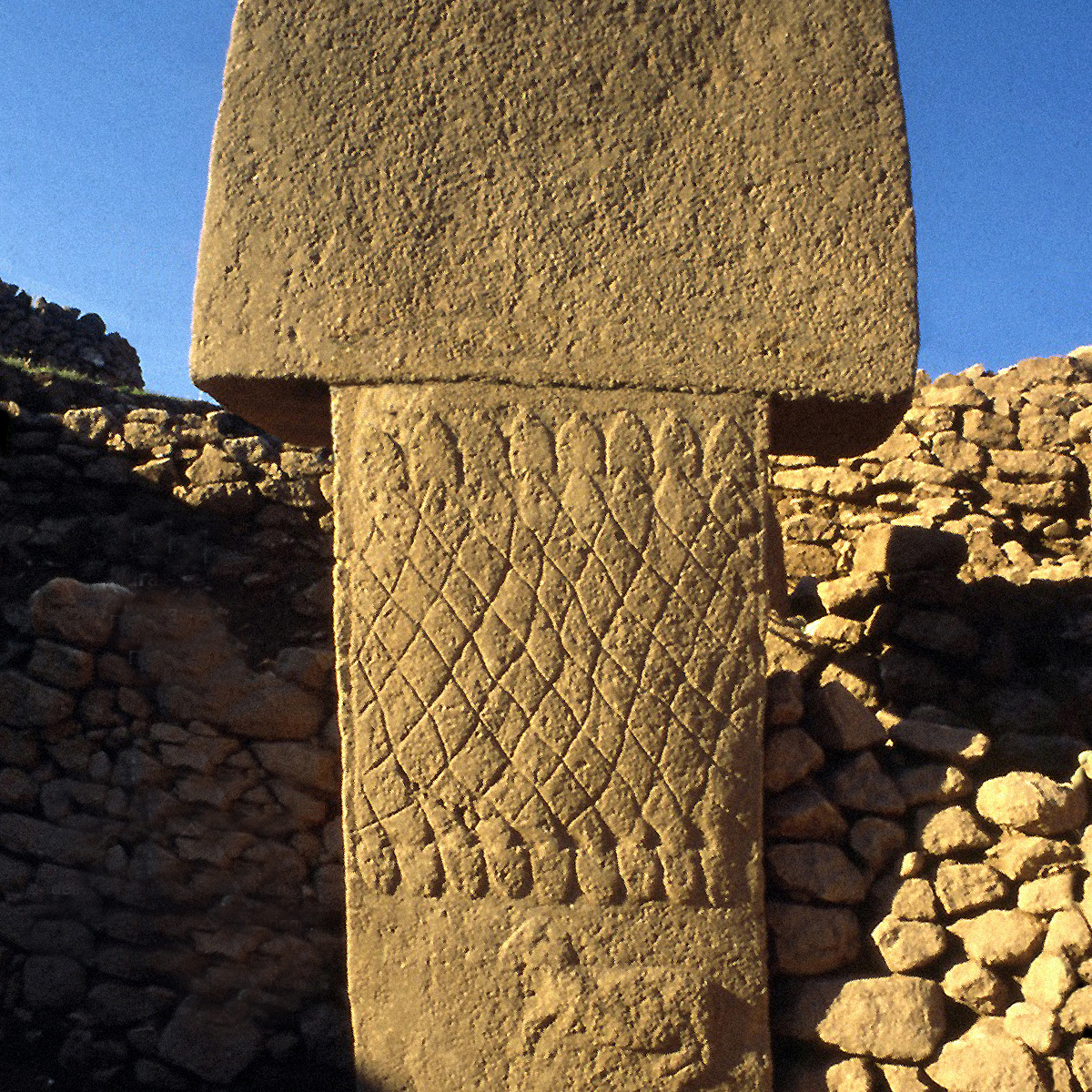 Ağ Bağlantısı