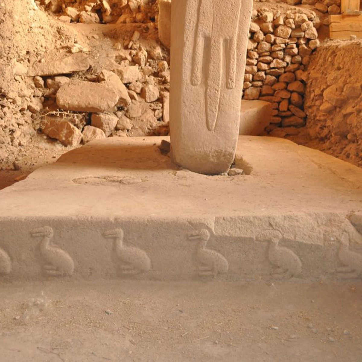 7 Kuş / Dodo Kuşu Bağlantısı