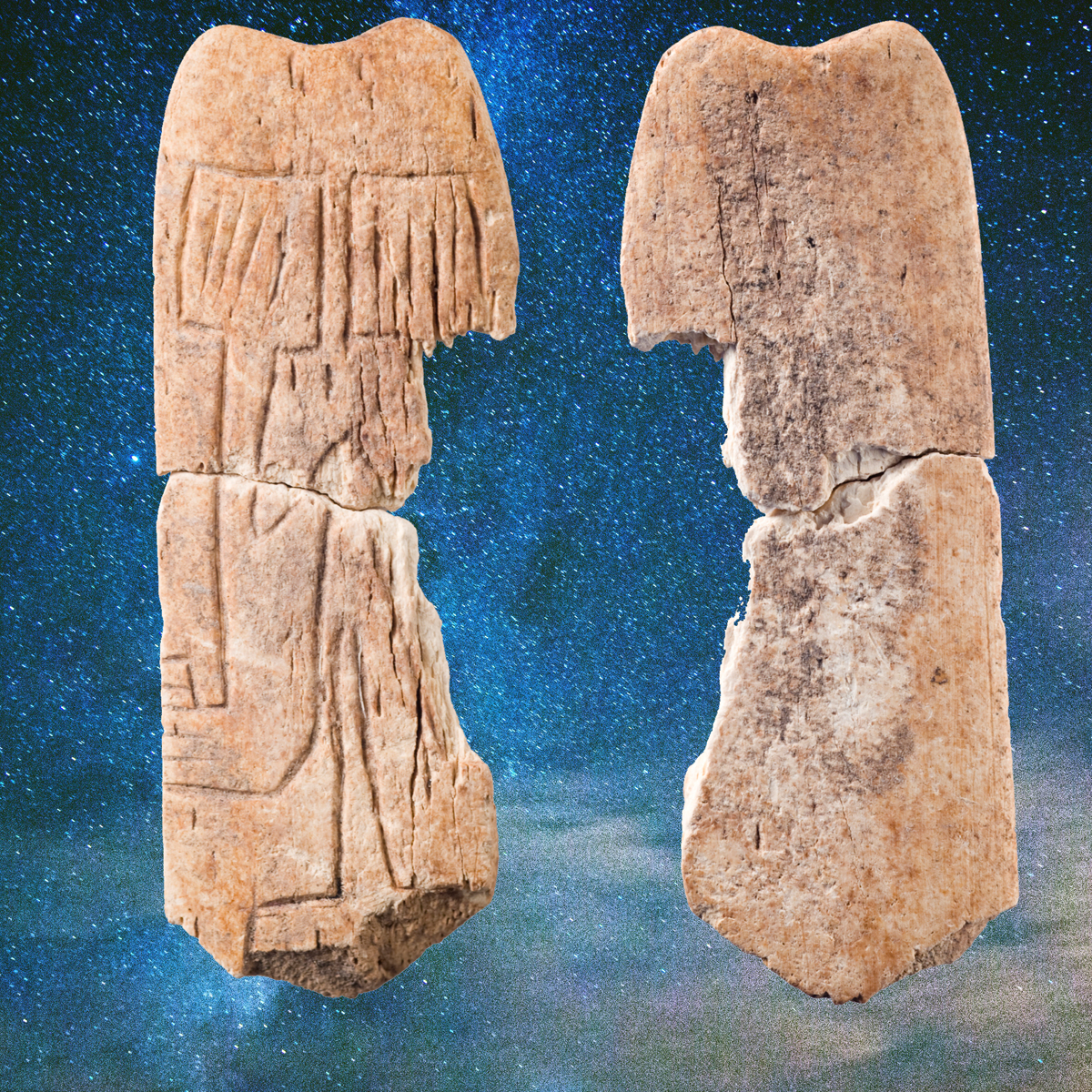 Kemik Plaka Bağlantısı